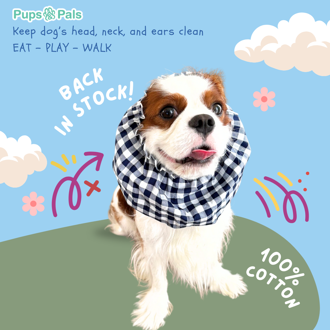 Pups&Pals – LIGHT SNOOD