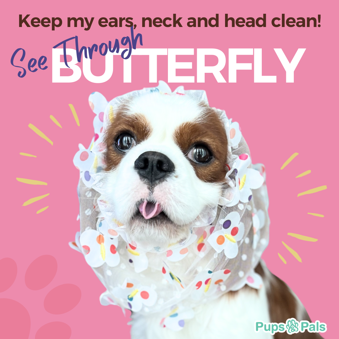 Pups&Pals – SEE THROUGH SNOOD